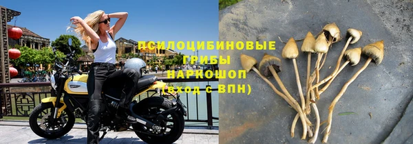 СК Белокуриха