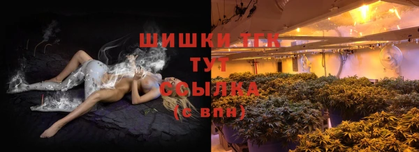 СК Белокуриха