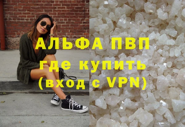 СК Белокуриха