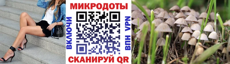 Псилоцибиновые грибы Psilocybe Монино